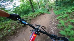 БЫСТРЫЙ СПУСК НА ГОРНОМ ВЕЛОСИПЕДЕ