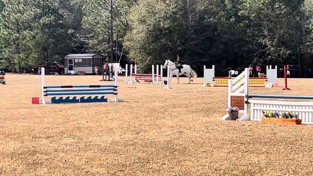 Shanbally Remember Me- BN Show Jumping Round at Apple Tree Farm 2024 смотреть онлайн