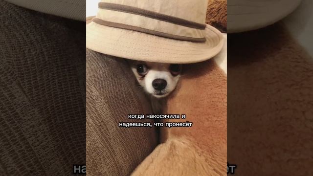 Накосячила