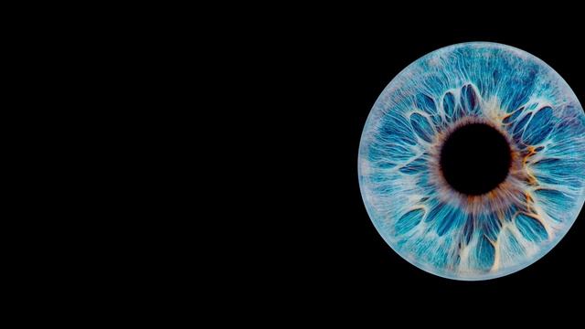 Comp 1 смотреть онлайн