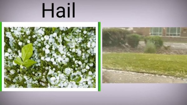 Weather, Different Seasons, Learn About Autumn, Winter, Spring, Summer , learning video for kids,