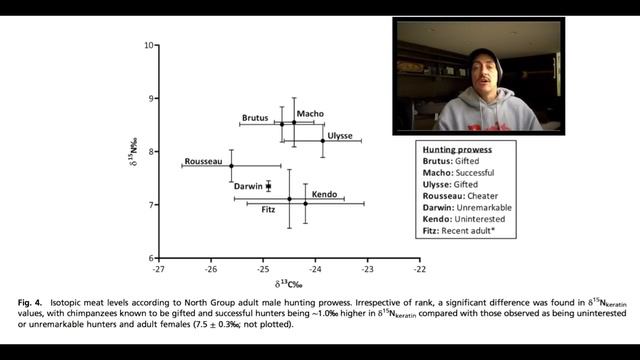 Frugivore Chimps, Hunting, Meat Consumption & Isotopic Values смотреть онлайн