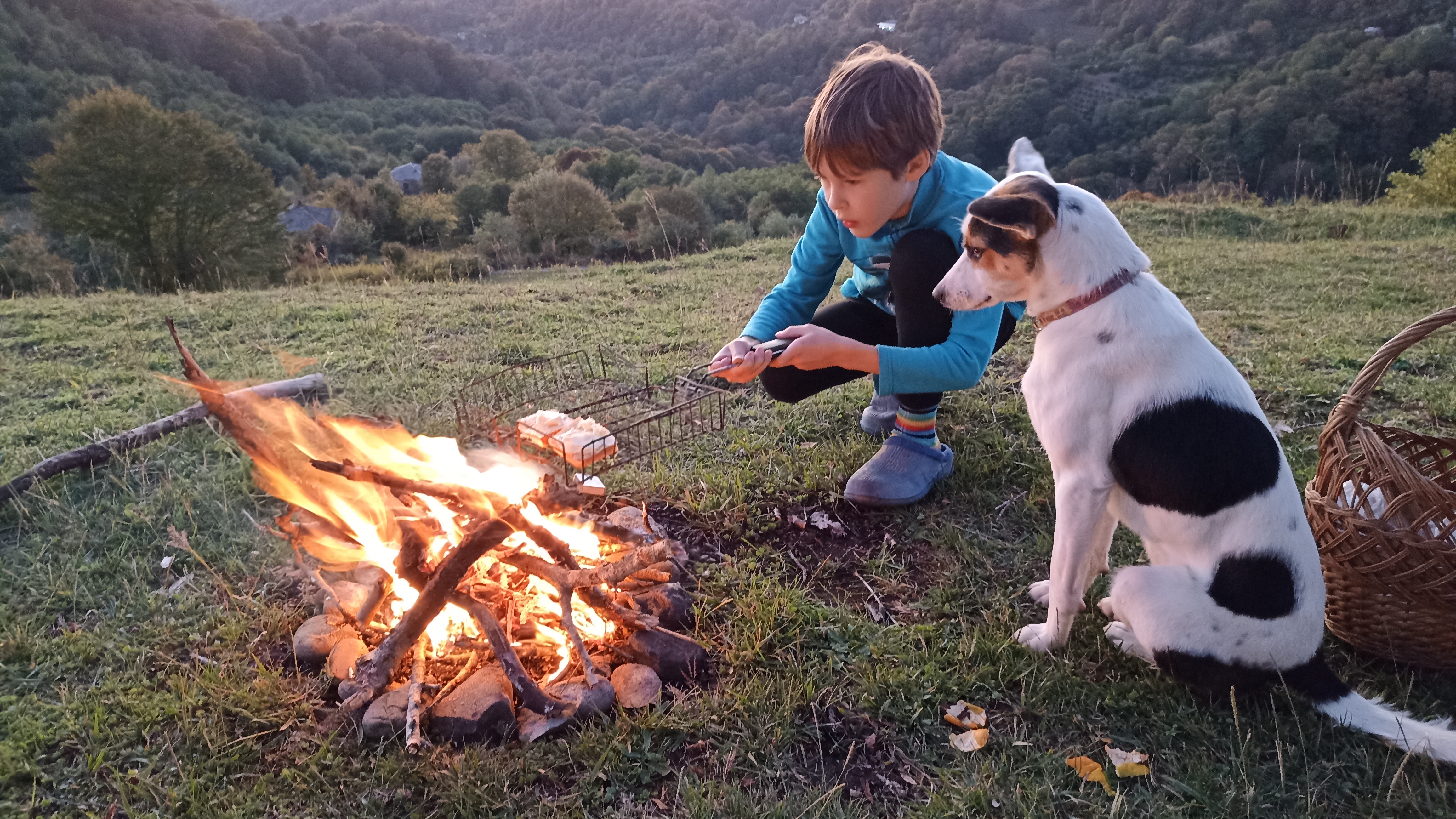 22.Снова на зиму в Абхазию. День 22, 28.10.2024. Пикники, сокровища, клады, игры и друзья смотреть онлайн