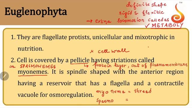PU 2 | NEET S2 | Biology | Biological Classification | Lecture 03 | Slide 12 | Myonemes смотреть онлайн