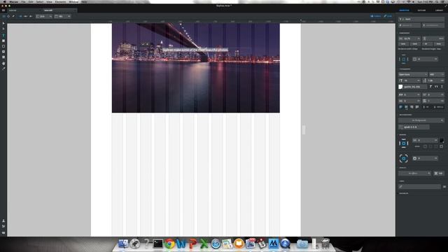 Macaw Tutorial (Video 1) смотреть онлайн