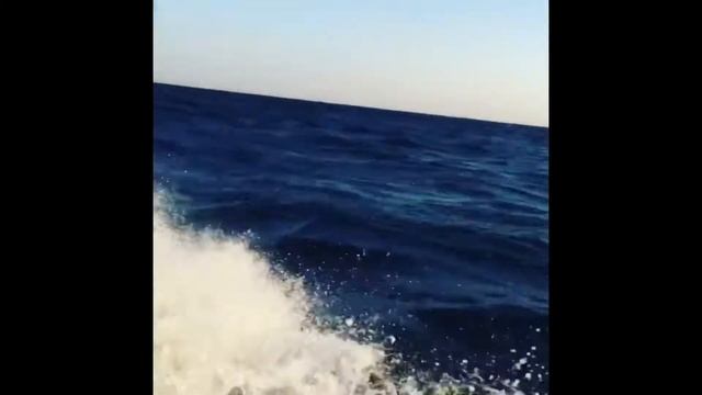 Random fishing clips over the last couple years смотреть онлайн