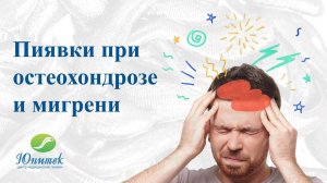 Пиявки при остеохондрозе и мигрени