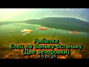 Рыбалка. Елец на Ваньку-Встаньку (Две вечеровки) 4-5 09 20