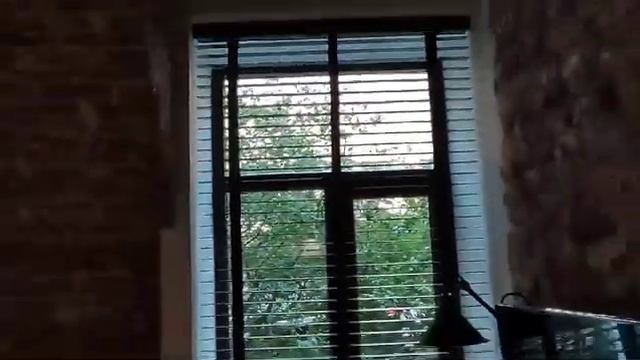 Горизонтальные жалюзи с электроприводом  + пульт  управление 2мя  Coulisse 50 мм , SVIL