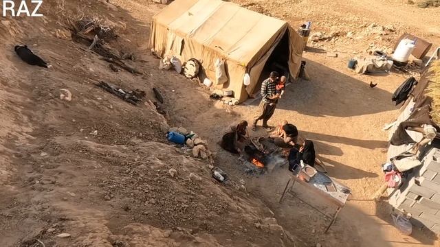The daily work of a nomadic family on the slopes of the mountains смотреть онлайн