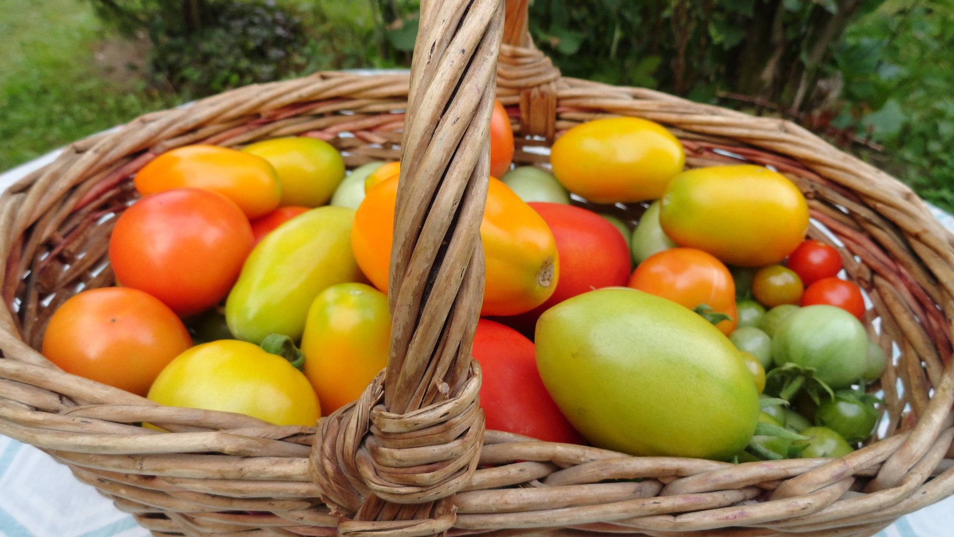 Дачный сезон 2023 закончен. Подвожу итоги. смотреть онлайн