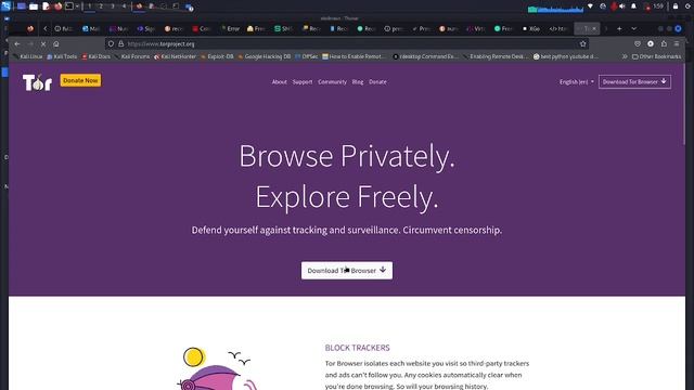 The Hidden Wiki QuickStart смотреть онлайн