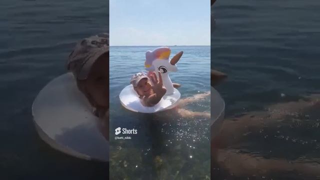 бьют волны, а мне прикольно смотреть онлайн