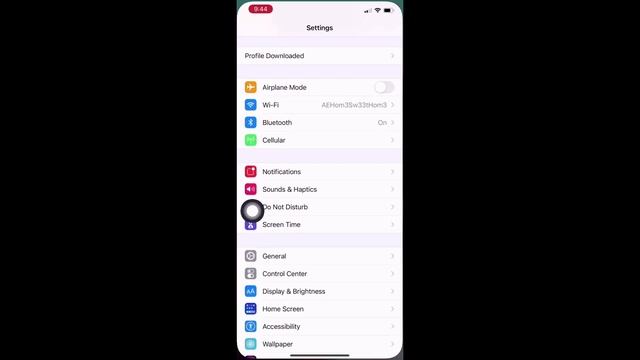 How to Install Profile on your Iphone IOS 14.5 смотреть онлайн