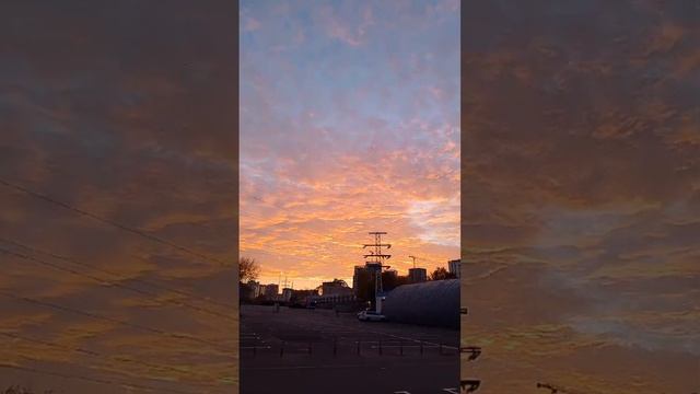 Доброе утро Санкт-Петербург смотреть онлайн