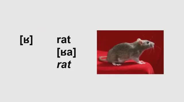 1_ Французские согласные смотреть онлайн