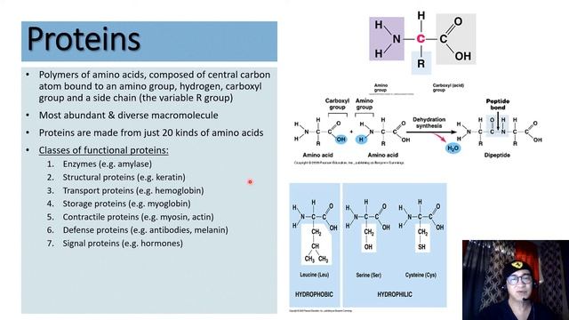 Chemistry & Origins of Cells смотреть онлайн