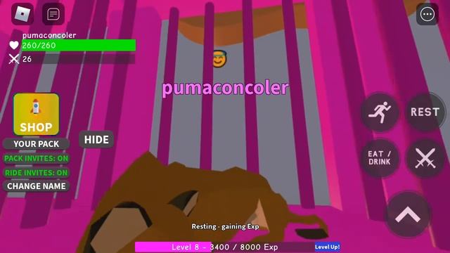 cougar hunting prey roblox смотреть онлайн
