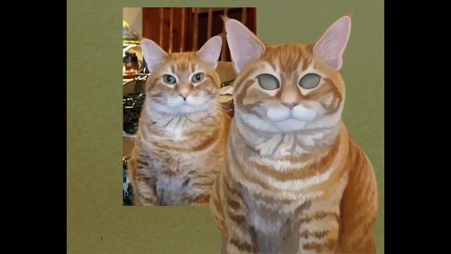 Tabby Cat ❦ Digital Pet Portrait - Speedpaint on Adobe Fresco смотреть онлайн