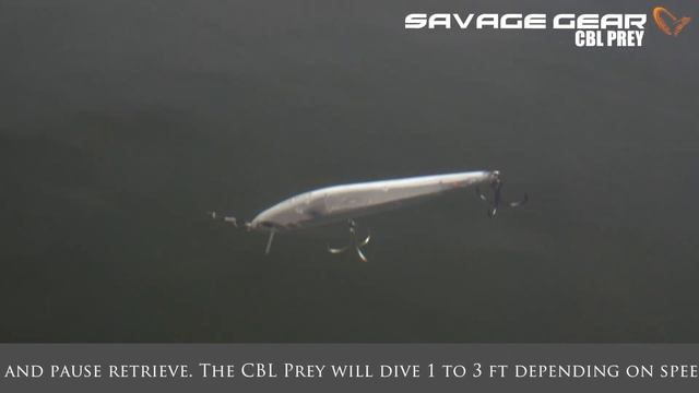 USA cbl prey смотреть онлайн
