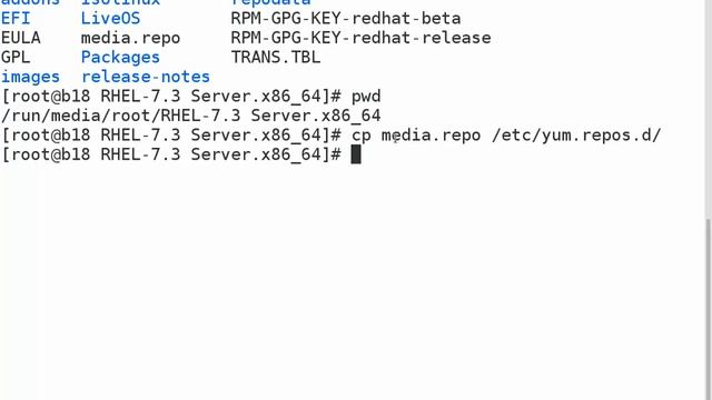 YUM Installation смотреть онлайн