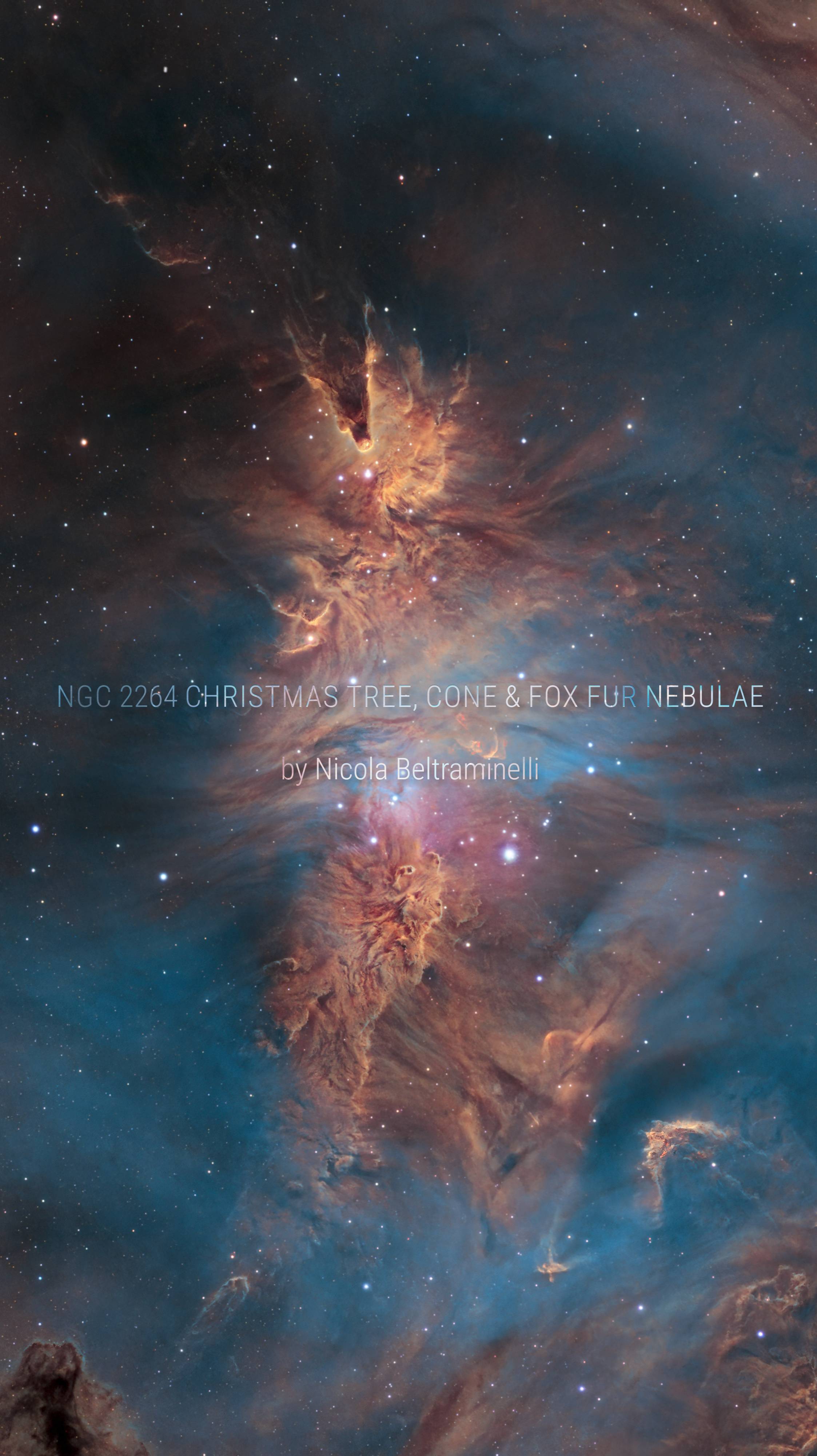 NGC 2264 Christmas tree, Cone and Fox Fur nebulae by Nicola Beltraminelli смотреть онлайн