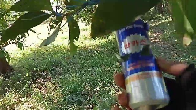 Entering the forest to hunt birds in Prey Russey and Prey Svay смотреть онлайн