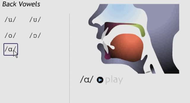 Артикуляция некоторых основных английских гласных смотреть онлайн