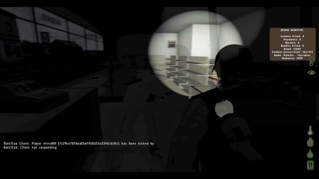 Arma 2 DayZ : Guide / Playthrough FR #6 : Une nuit mouvementée! смотреть онлайн
