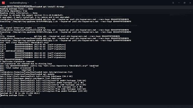 Install Kali Tools On DeepinOs | The Right Way 2019 смотреть онлайн
