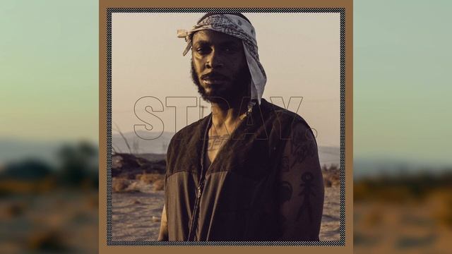 [FREE] JPEG MAFIA x DANNY BROWN TYPE BEAT // EXPERIMENTAL MELODIC TRAP - STRAY. смотреть онлайн