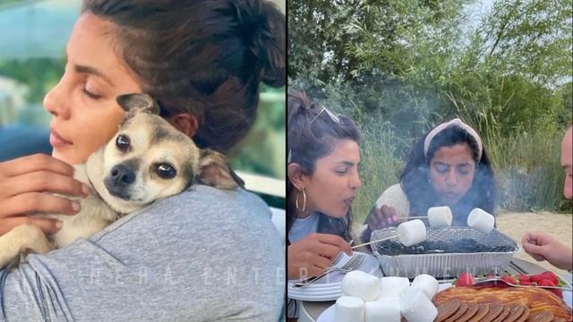 Priyanka Chopra Ditches Husband Nick Jonas, Enjoys London Summer | Shares Photo Album смотреть онлайн
