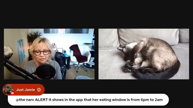 AMBERLYNNS talks to Destiny on LIVE stream !?? *LIVE* React смотреть онлайн