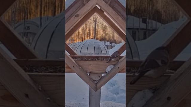 Утро на Open Village 24 смотреть онлайн