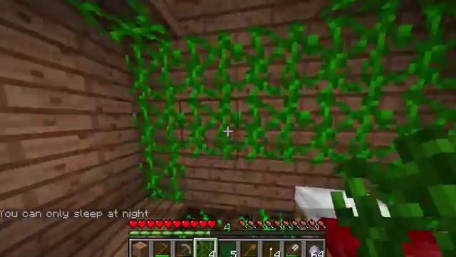 minecraft survival FOV смотреть онлайн