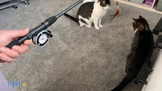 Kitties Review the Pawaboo Interactive & Feather Wand Cat Teaser Toys and Electric Fish Cat Toy! смотреть онлайн
