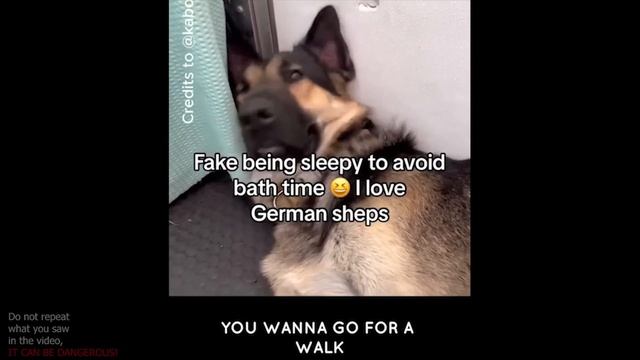 UNUSUAL MEMES COMPILATION V33 (meme.mp4)