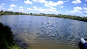 Групер335 w и Тояма 9.8