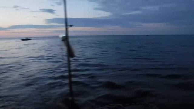 Устье Волхова июнь 2020 смотреть онлайн