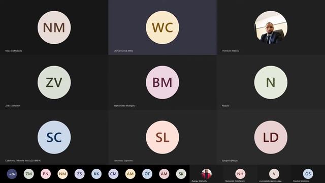 The Economics of Basic Income Grant webinar смотреть онлайн