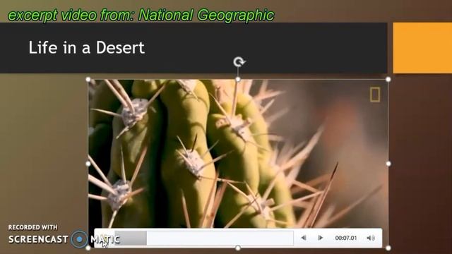 Habitats and Adaptations смотреть онлайн