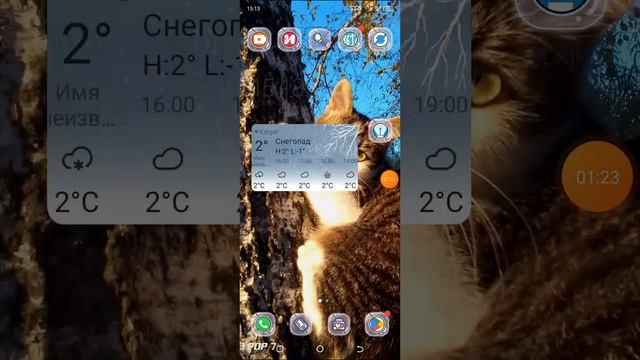 ||Тутор где найти прикольные T-shirt Roblox||