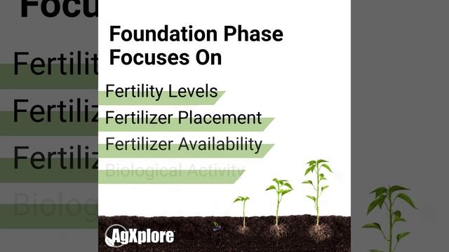 AgXplore's Foundation Phase | The First Phase of Crop Development смотреть онлайн