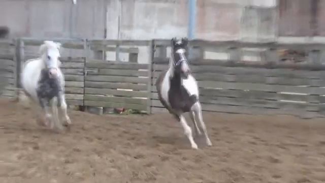 Sure Fuck It, We're On Holiday! смотреть онлайн