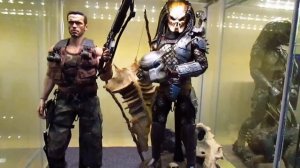 My Hot Toys Predator Collection
