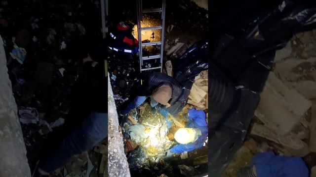 бедный Йорик!