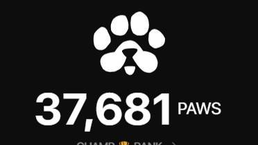 Спецвыпуск о НОВОМ DOGS | почему новый проект — важный  для криптовалют! 🚀