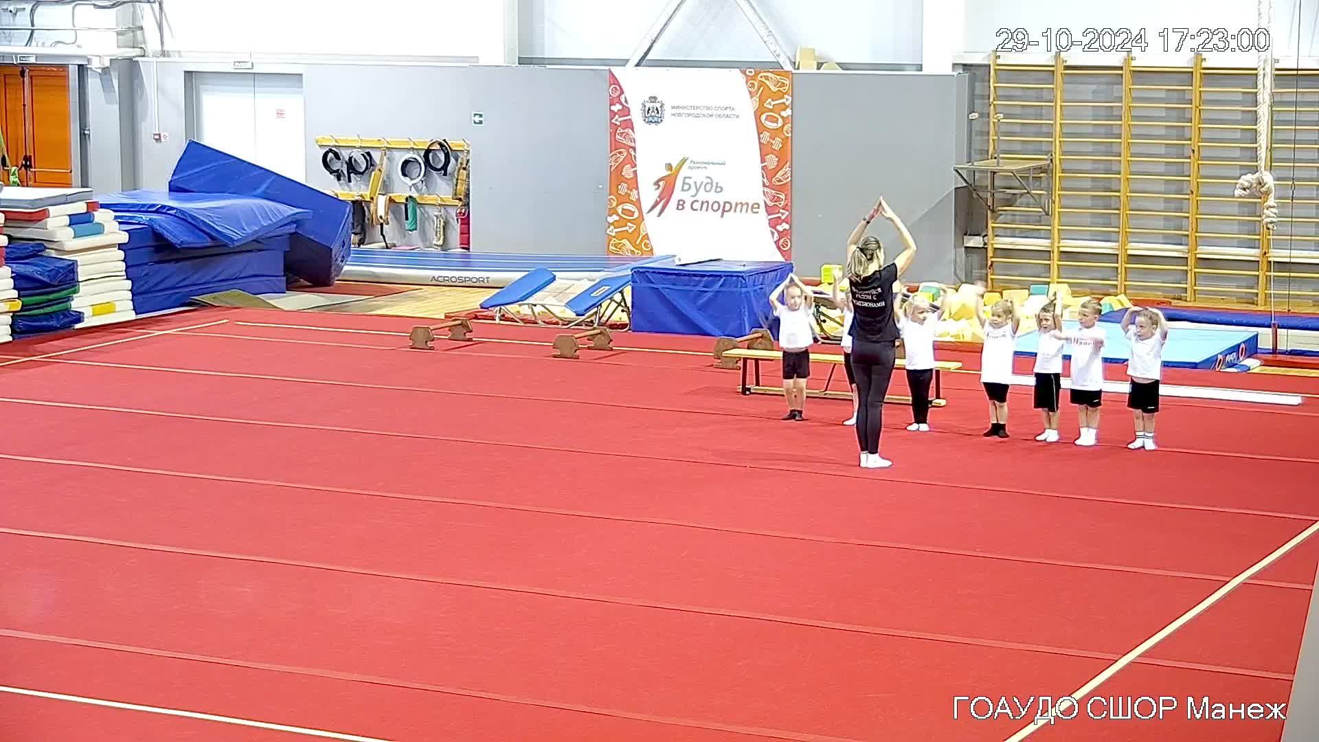 Развивающая акробатика смотреть онлайн