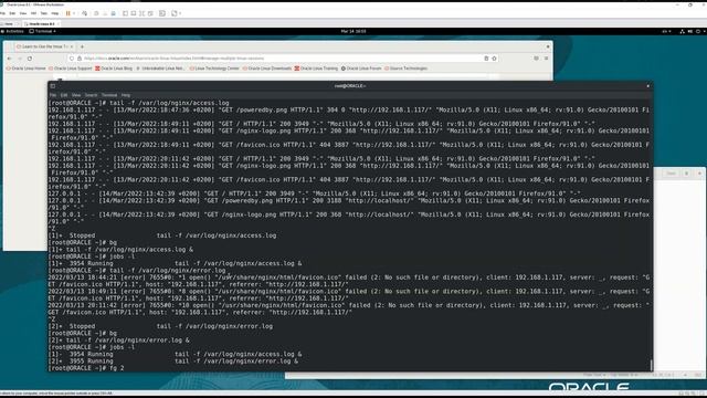 RHCSA | RHEL 8 | Активные и фоновые процессы и управление заданиями смотреть онлайн