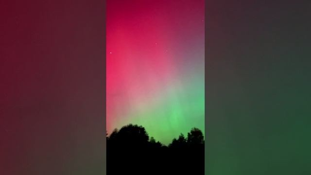 Чудо природы наблюдаю с балкона прямо сейчас